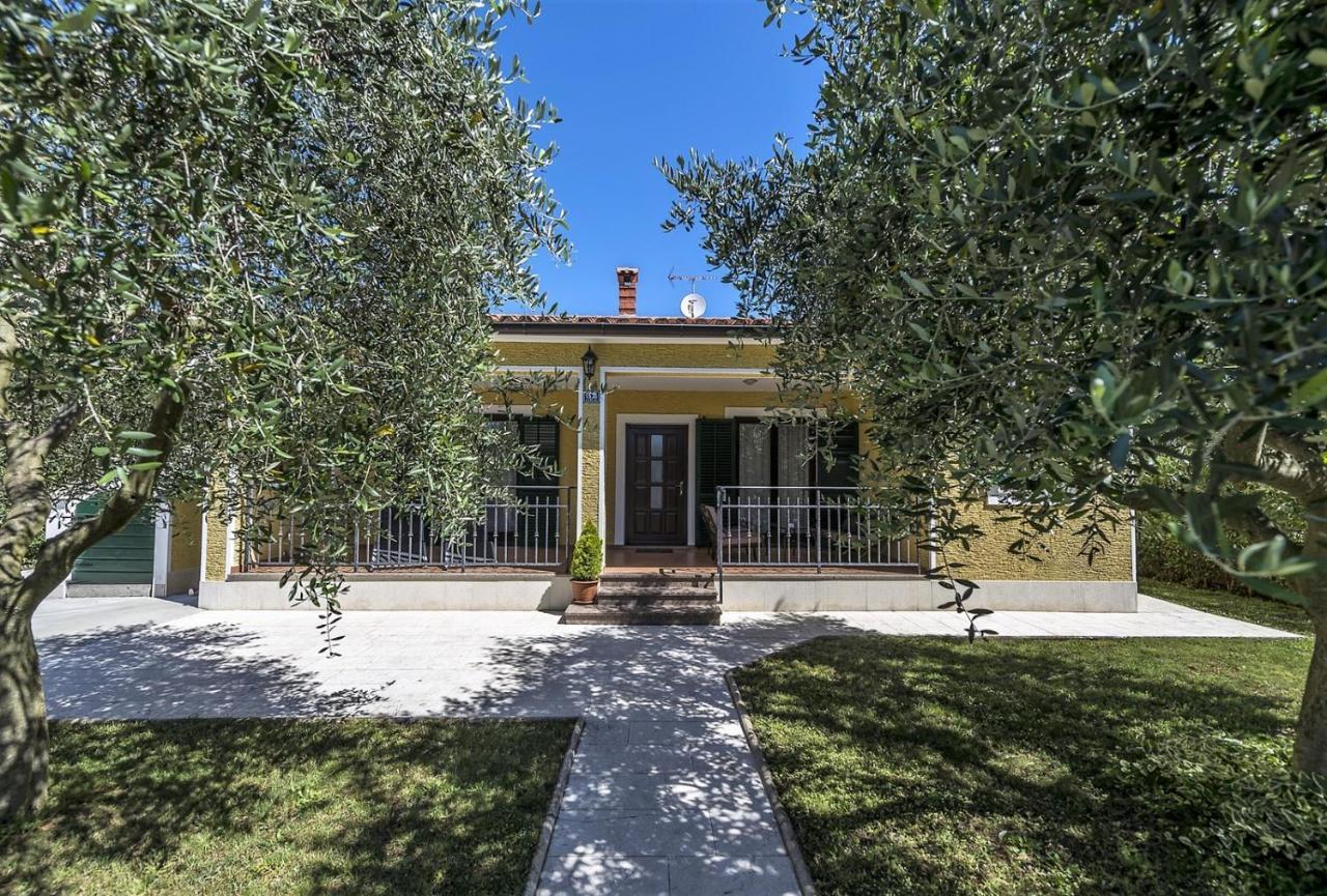 Spacious Three-Bedroom Villa Balun With Pool Poreč Eksteriør billede